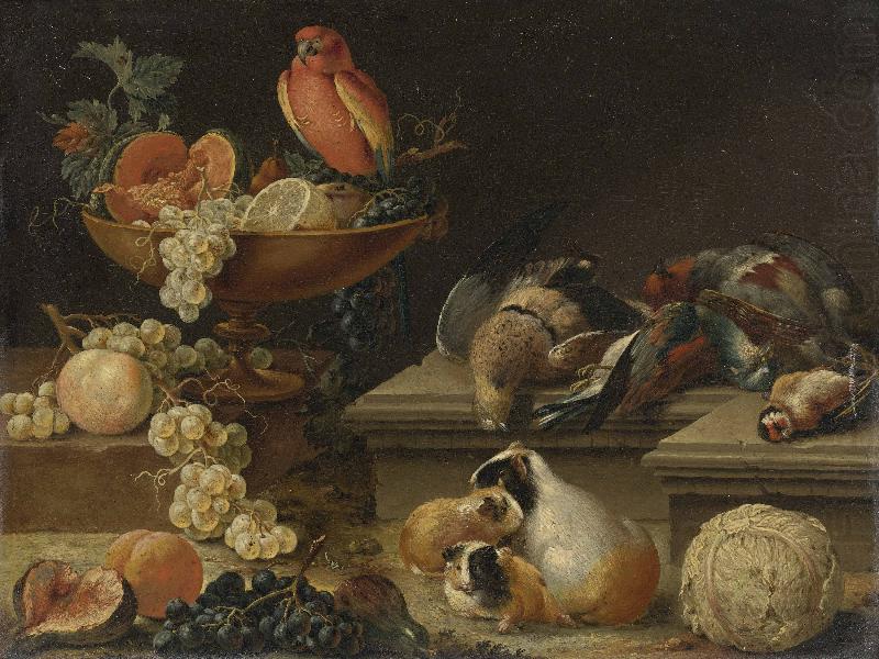 Johann kupetzky Still life with a Parrot china oil painting image